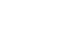 PleasureX - logo